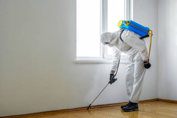 Best Best Pest Control Companies  in Austin, MN