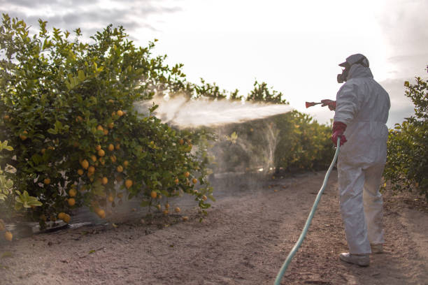 Pest Control for Restaurants in Austin, MN