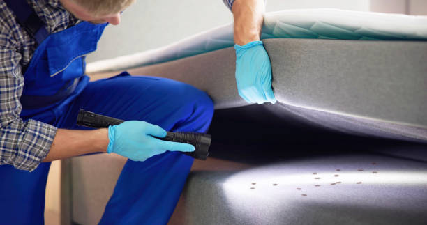 Best Pest Control Near Me in Austin, MN