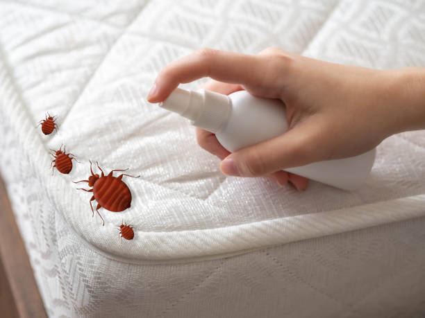 Best Bed Bug Extermination  in Austin, MN