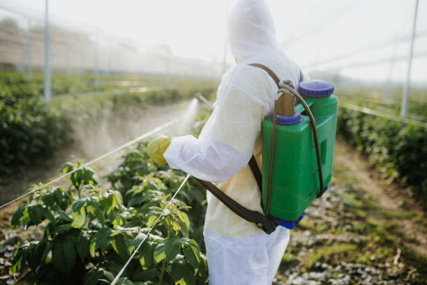Best Local Pest Control Services  in Austin, MN